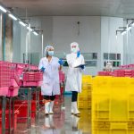 transport alimentaire